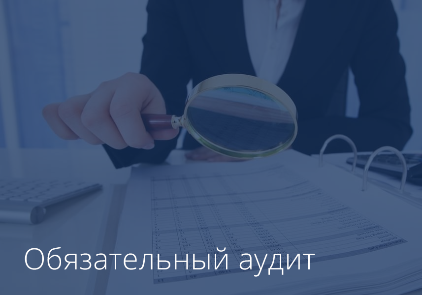 Statutory audit of an organization